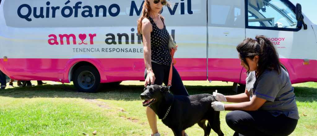 Godoy Cruz presentó su segundo quirófano móvil para mascotas