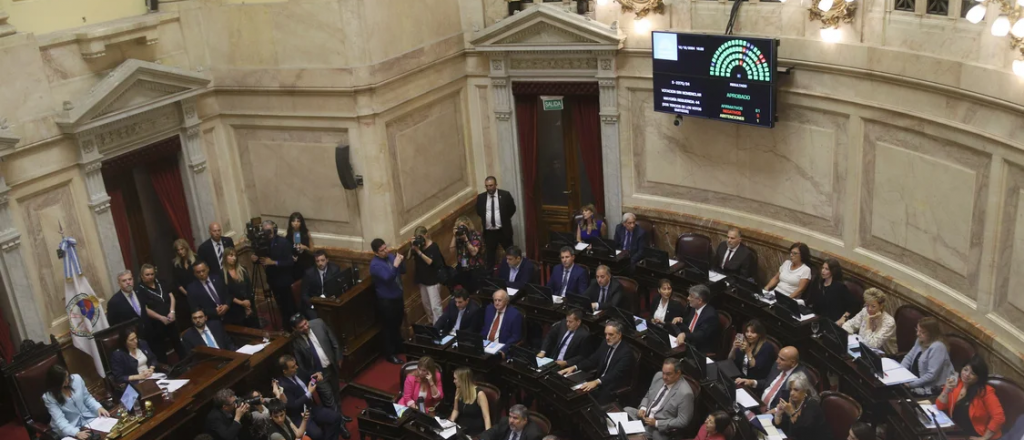 El Senado convirtió en ley la suspensión de las PASO