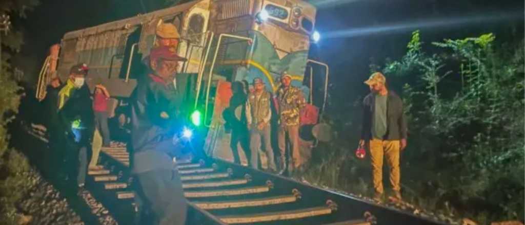 Un tren de pasajeros atropell&oacute; a seis elefantes y murieron