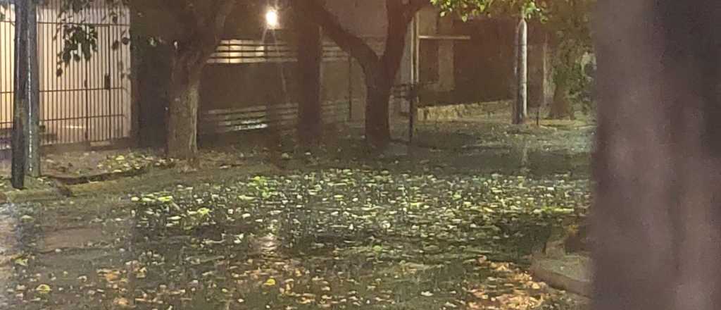 El saldo de la tormenta: rutas cortadas, casas inundadas y evacuaciones