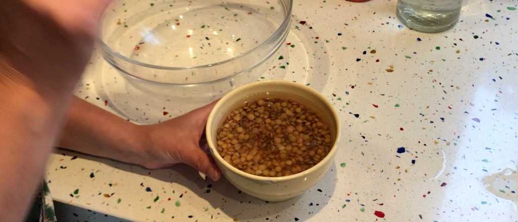 El enraizador casero infalible que hará crecer tus esquejes