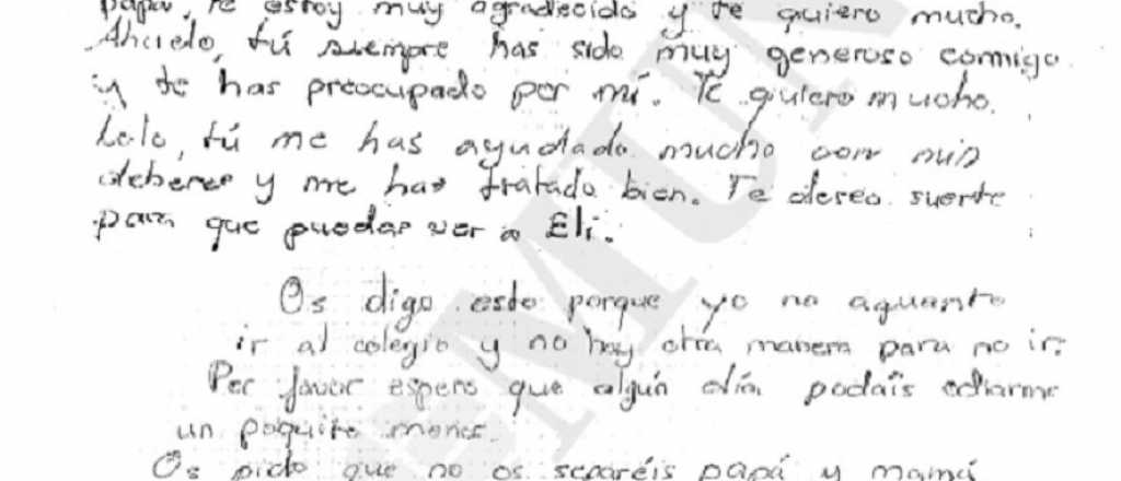 Espa&ntilde;a, conmovida por el suicido de un nene de 11 a&ntilde;os 
