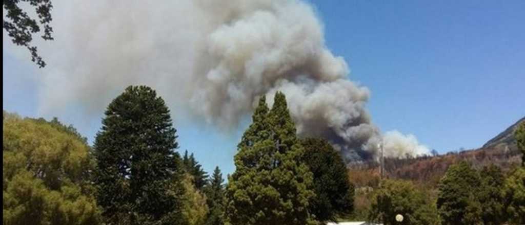 Se incendia el Parque Nacional Los Alerces en Chubut