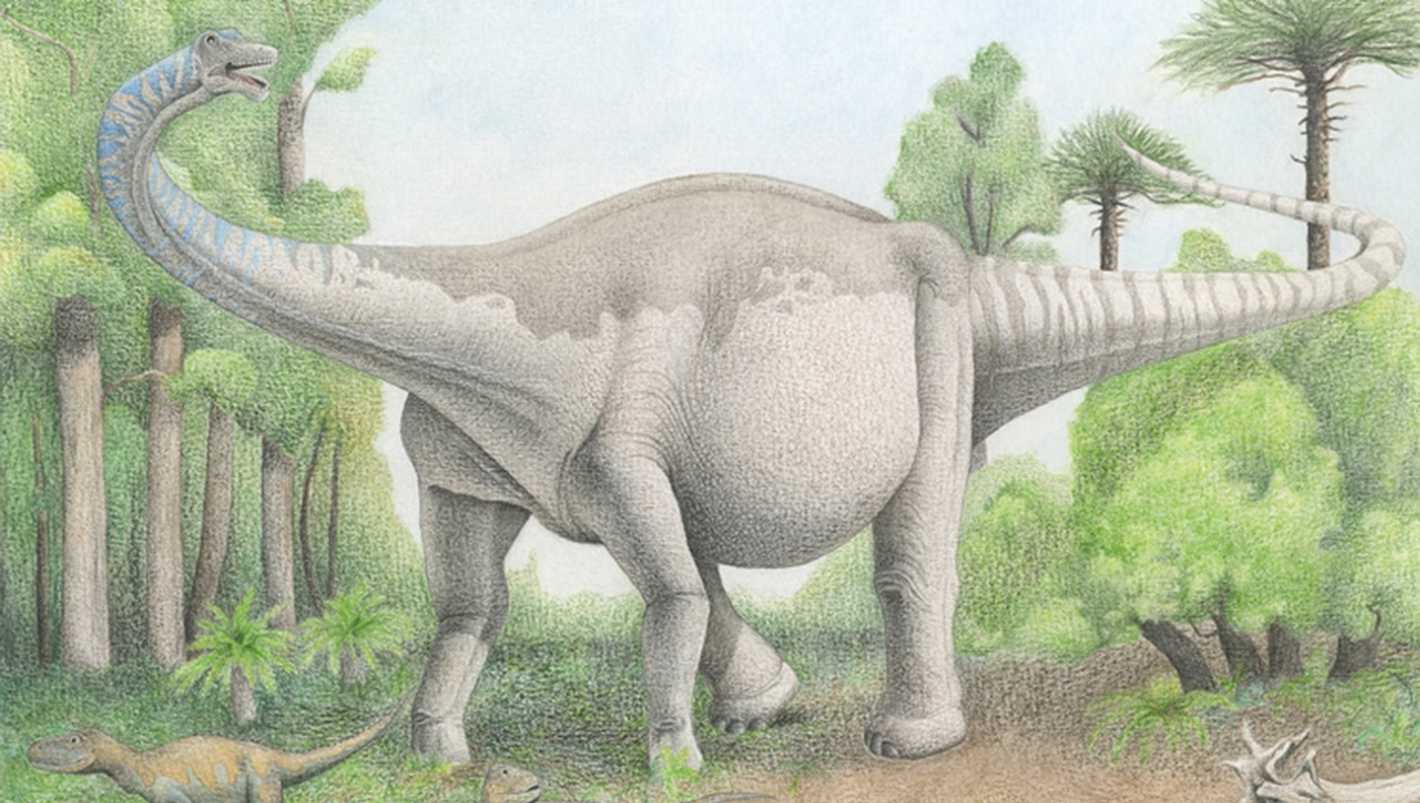 Los detalles del descubrimiento del dinosaurio más grande ...
