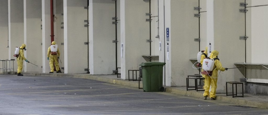 As&iacute; "cazaron" a un mosquito de dengue que iba en un auto mendocino a Chile