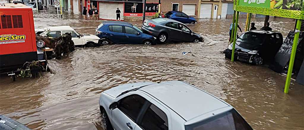 Concejal de Bahía Blanca: "No se ha politizado el tema"