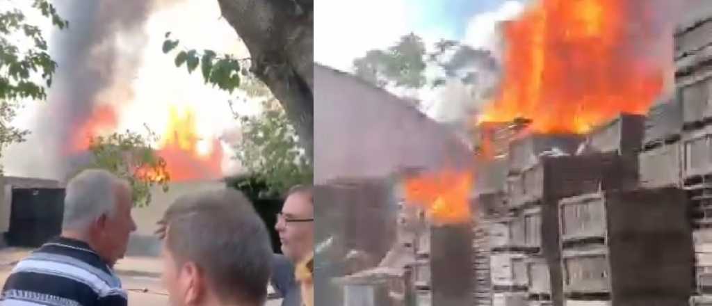 Videos: un incendio destruy&oacute; una f&aacute;brica de sillones en Guaymall&eacute;n