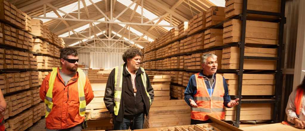 Producción minera: Argentina, Chile y el cobre, claves para la transición energética