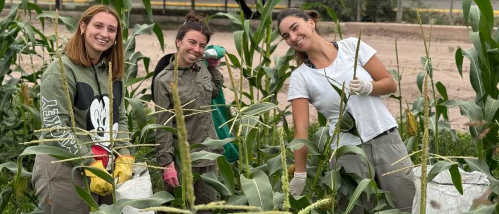 Se realizar&aacute; una "chocleada" en una facultad de la UNCuyo