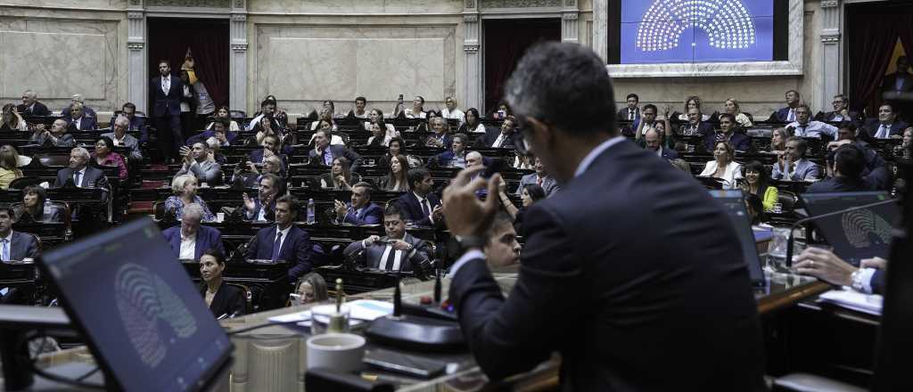 Una diputada mendocina sorprendi&oacute; con su voto en el Congreso