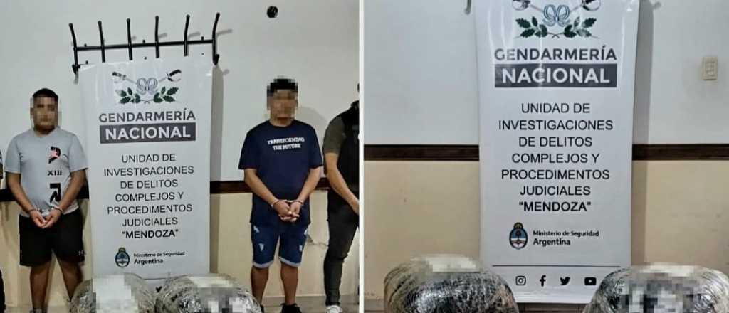 Tres detenidos en Tunuy&aacute;n que iban a recibir 51 kilos de coca&iacute;na