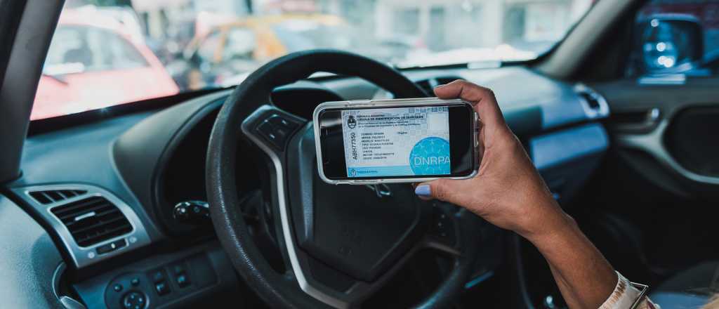 Las claves del amparo del Partido Verde contra la suba de "patente"