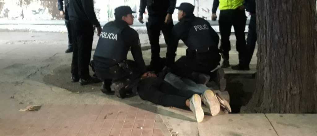 Dos ladrones fueron detenidos tras robar en un vivero de Ciudad