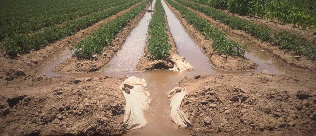 Cu&aacute;nto cobrar&aacute;n desde abril los trabajadores de riego de Mendoza