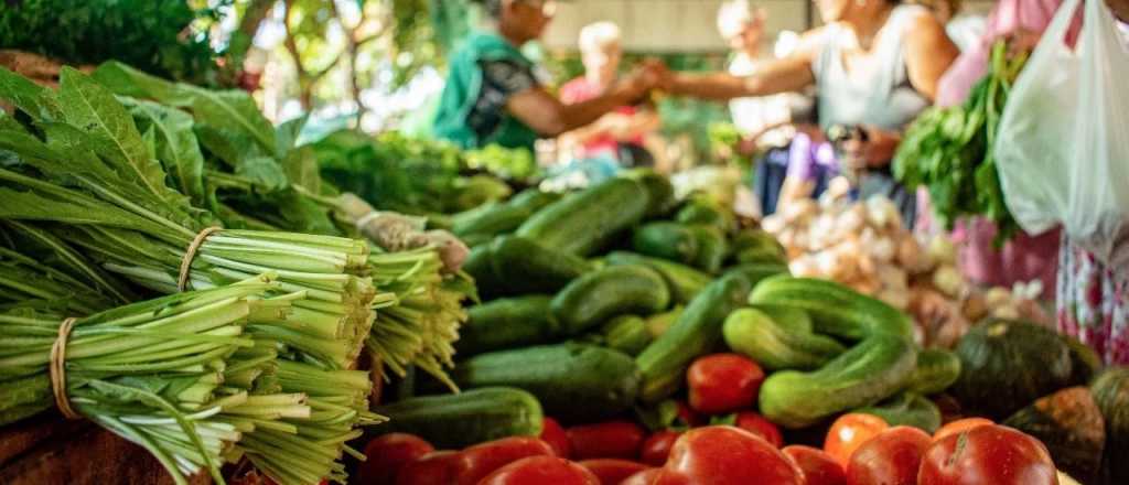 Subas de hasta 100% en las verduras durante marzo