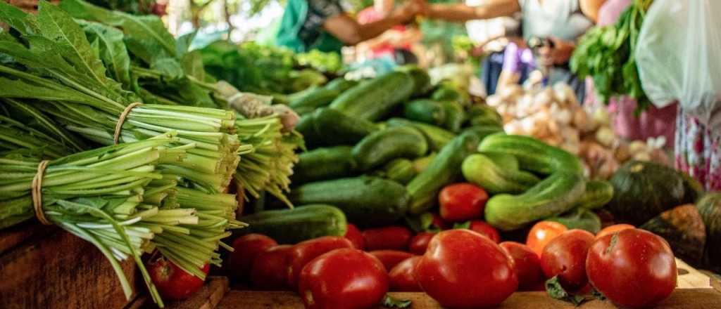 Lluvias y precios: qué dicen los verduleros sobre aumentos en frutas y verduras