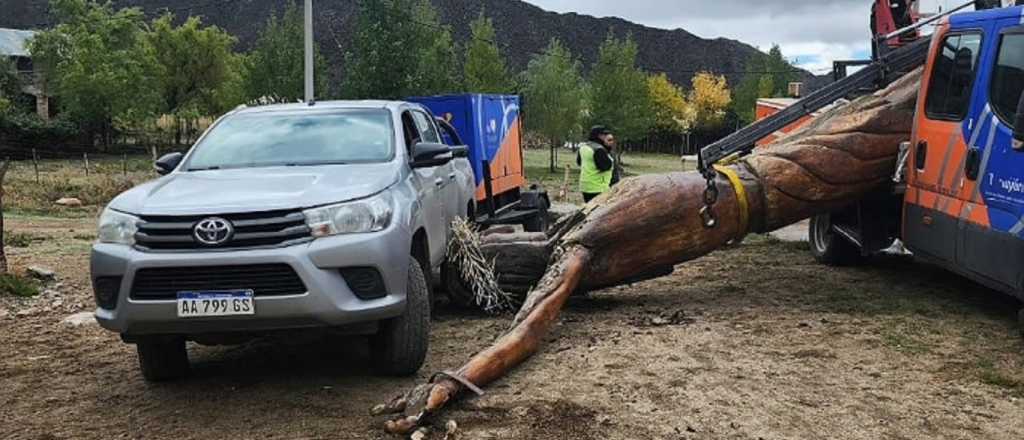 Video: cay&oacute; el Cristo del Manzano Hist&oacute;rico porque volc&oacute; la gr&uacute;a