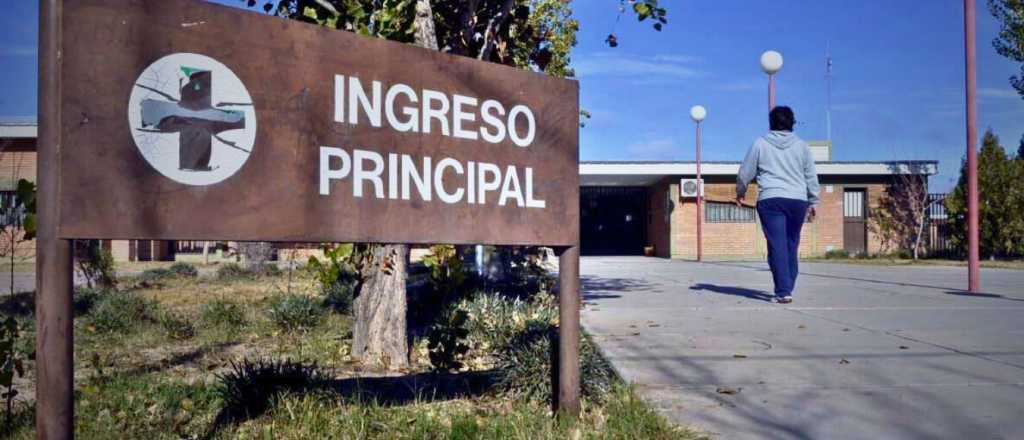 Un chico estuvo al borde de la muerte tras ser picado por una araña