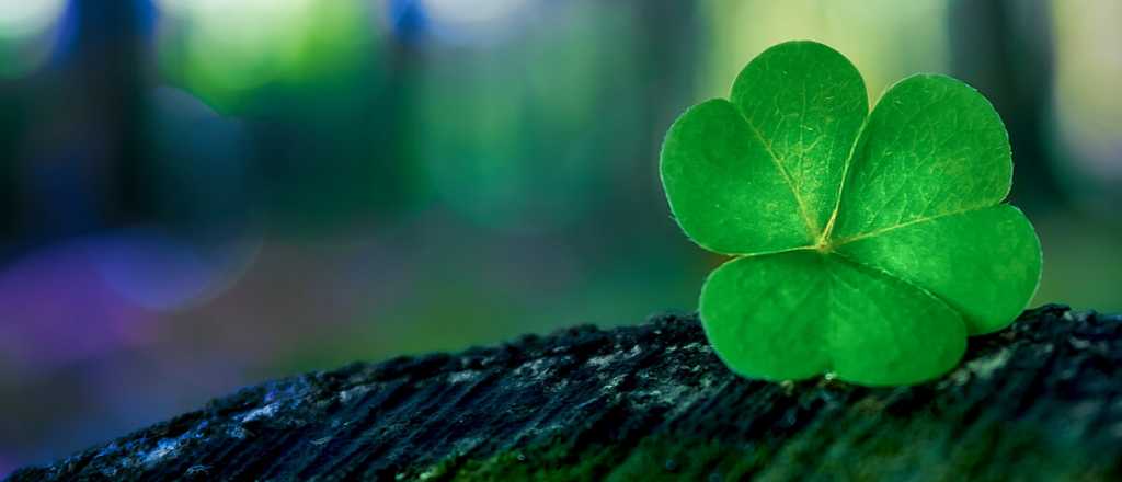 Cuáles son los números de la suerte de este martes 15 de abril