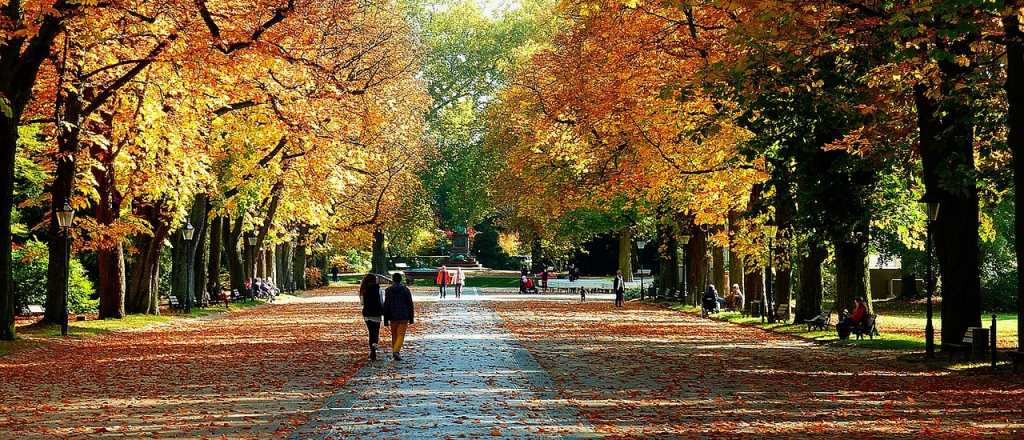 Este es el calzado ideal que está siendo tendencia en este otoño