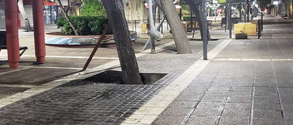 Veredas pegajosas en Mendoza: una plaga dif&iacute;cil de combatir