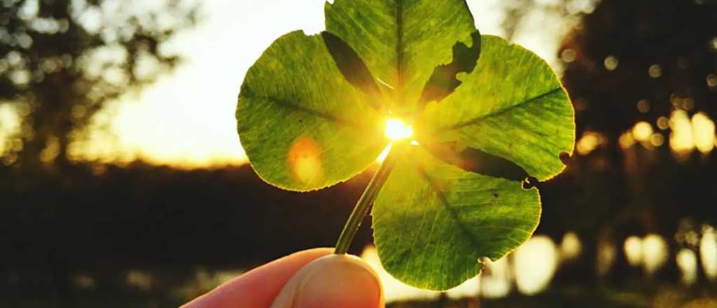 Cuáles son los números de la suerte de este miércoles 16