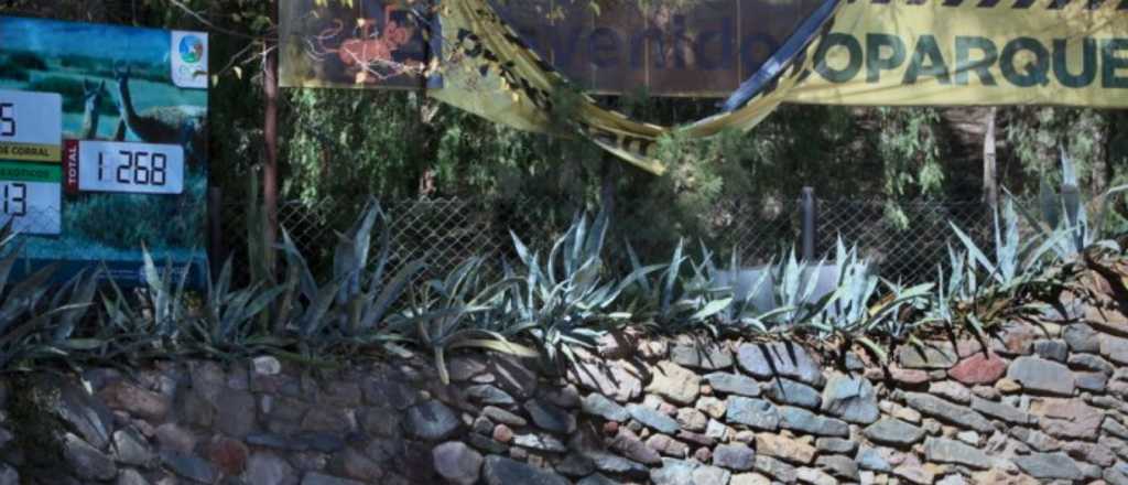 Más de $100 millones en alimentos para animales del Ecoparque