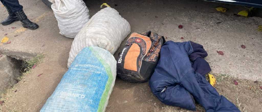 Detuvieron a dos bandas de "robanueces" en Tupungato