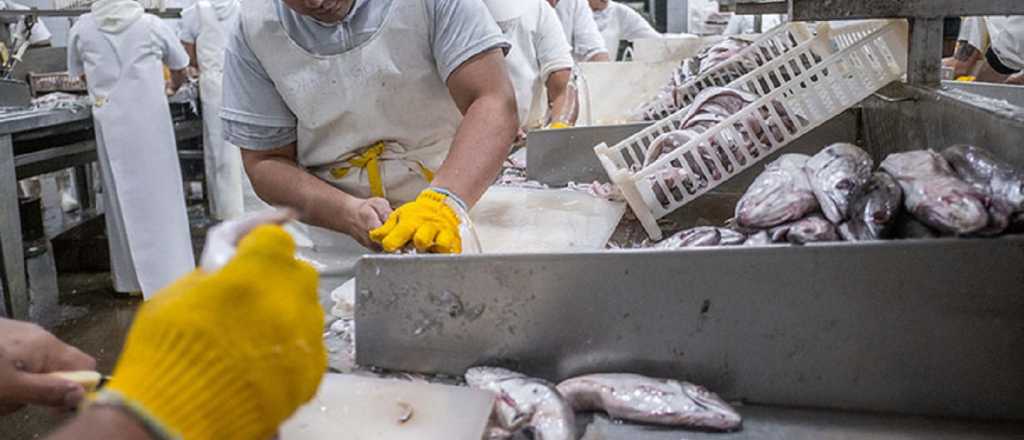 La actividad económica creció en febrero