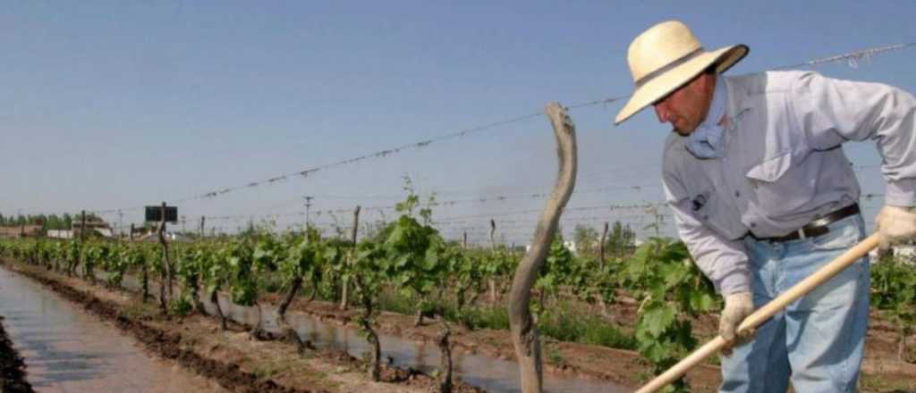 Mendoza adelantó pagos por $7.000 millones a productores