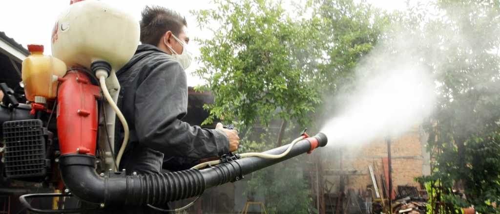 Confirman en Mendoza cinco casos de dengue no autóctono