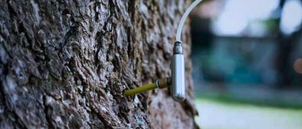 Las jeringas que podr&iacute;an terminar con las veredas pegajosas en Mendoza