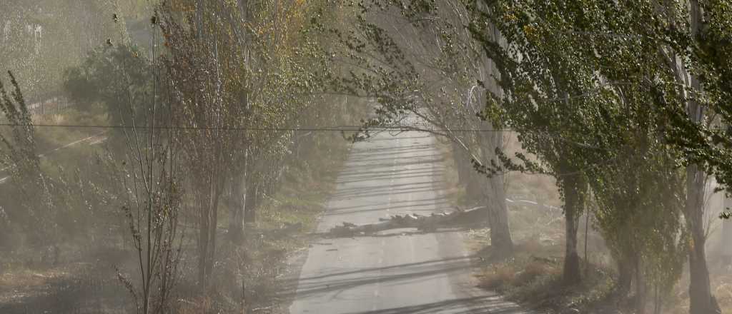 Video: el Zonda llegó a Malargüe con bastante fuerza