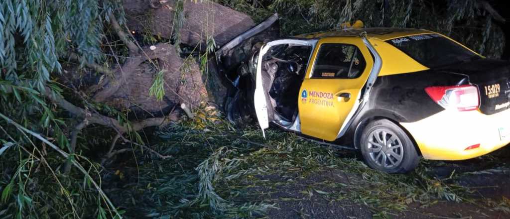 Muri&oacute; un taxista en Tunuy&aacute;n al chocar contra un &aacute;rbol ca&iacute;do