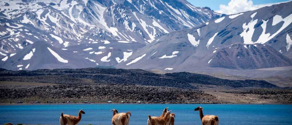 La Reserva Laguna del Diamante cerró su temporada 2025 con balance favorable