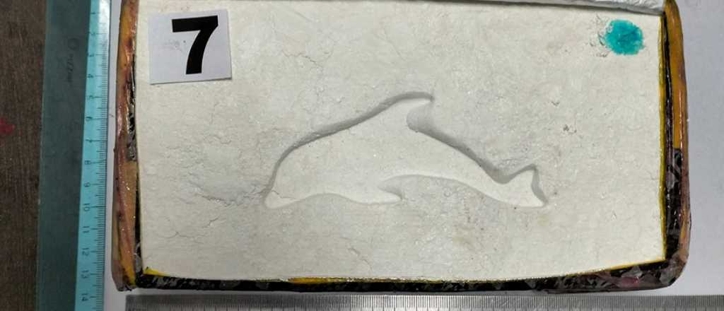 Atraparon a una familia mendocina con 26 kilos de cocaína en ladrillos