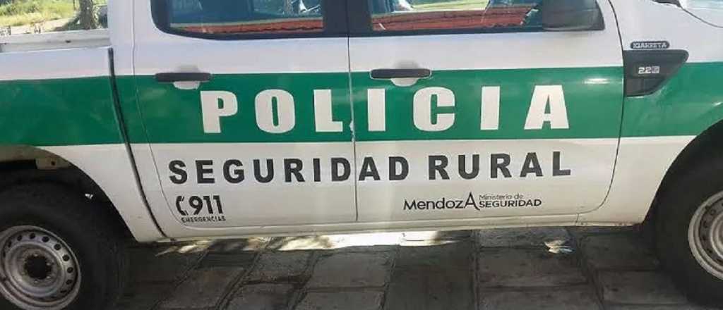 En el d&iacute;a del animal cuatro piches fueron v&iacute;ctimas de la caza furtiva