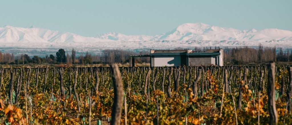 Robaron en una bodega de San Rafael