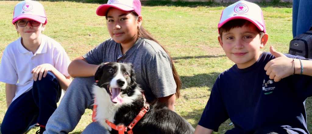 Godoy Cruz anunció que construirá dos plazas para mascotas