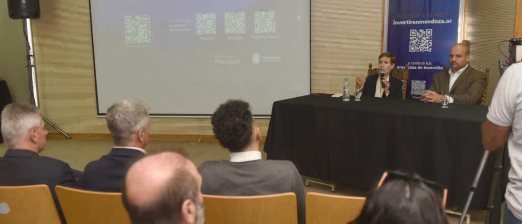 Las claves de la plataforma que lanz&oacute; Mendoza para atraer inversiones