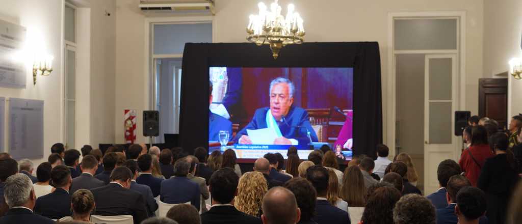 Lo anunci&oacute; Cornejo: por qu&eacute; caer&aacute; la tarifa el&eacute;ctrica en Mendoza