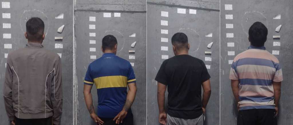 Cayeron los robaaceitunas en una finca de San Rafael