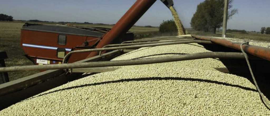 El campo reclamó ampliar el plazo para liquidar sin retenciones