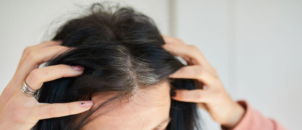 Canas rebeldes: secretos de colorista