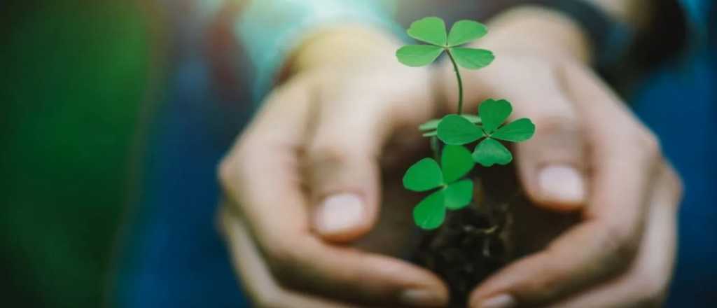 Cuáles son los números de la suerte de este martes 6 de mayo