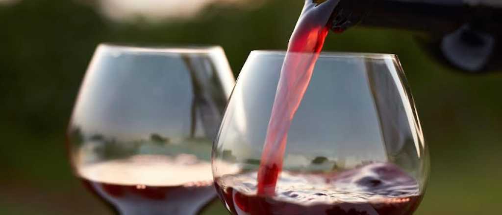 Ahora Los Aut&eacute;nticos Decadentes lanzan su vino en Mendoza