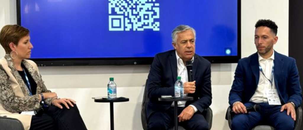 As&iacute; fue cayendo la producci&oacute;n del "oro negro" de Mendoza