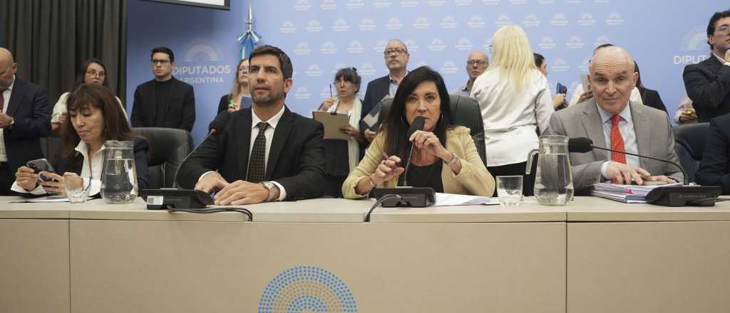 Baja de la edad de imputabilidad: dictamen aprobado en Diputados