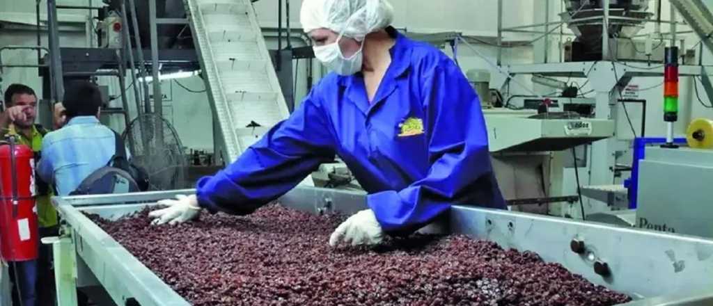 Milei eliminó retenciones a productos industriales de la vitivinicultura