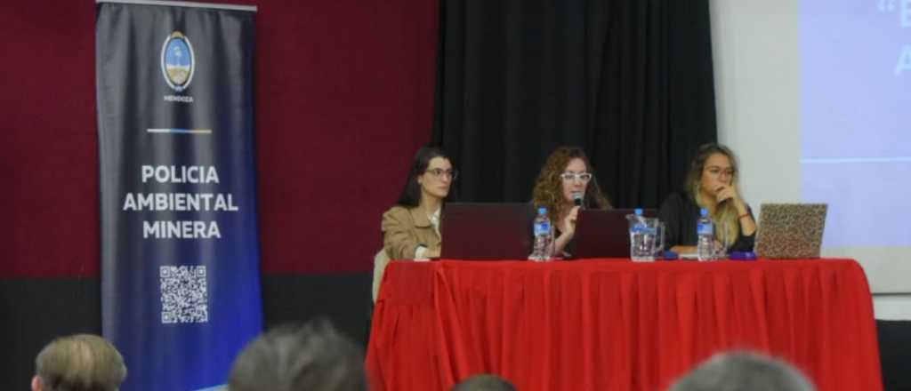 Audiencia p&uacute;blica: amplio respaldo a Malarg&uuml;e Distrito Minero Occidental II